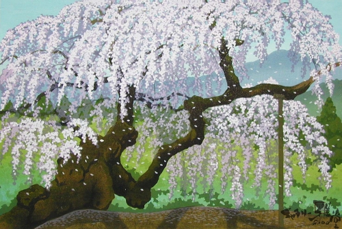 権現桜
